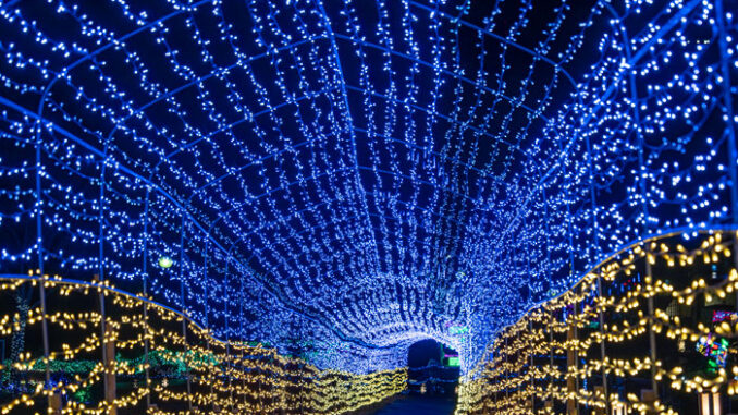 TWINKLE JOYOの画像