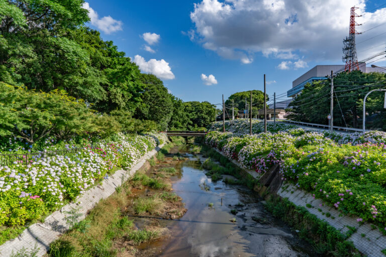 「さすてな京都」の水のある風景画像