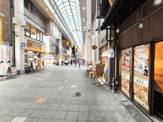 伏見大手筋商店街の画像