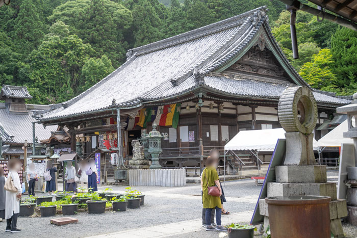 「楊谷寺」本堂の画像