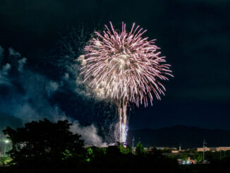 「宇治駐屯地納涼夏祭り」花火の画像